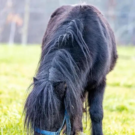 Quinta Da Eira Do Prado 农家乐 *